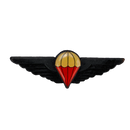Ciskei Defence Force (CDF) Parachute Wing - Halo, Item 2