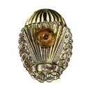 Czech Republic First Class Paratrooper Badge