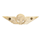 Danish Army Parachute Wings Badge