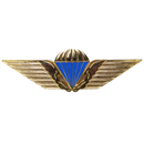 Danish Army Parachute Wings Badge