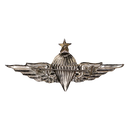 Egyptian Army 3rd Class Parachute Wings Badge