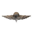 Egyptian Army Basic Parachute Wings Badge