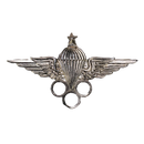 Egyptian Army Parachute Instructor Badge