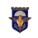 French 17th Parachute Engineer Regiment Badge - French Army Surplus - Flags, Badges & Insignia