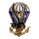 French 1st Paratrooper Command and Support Battalion Badge, Item 2