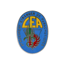 French 2nd Foreign Parachute Regiment Badge