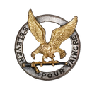 French Air Force Groupe École 318 (School Group 318) Badge
