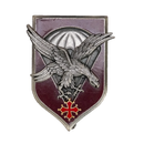 French Army 11th Parachute Division Badge