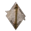 French Army 5th Light Aviation Support Group Badge