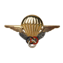 French Army Parachute Jump Instructor Badge