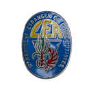 French Foreign Legion 2nd Parachute Regiment Badge, Item 2