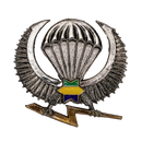 Gabonese Army Parachute Wings Badge