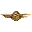 German Bundeswehr Gold Parachutist Badge