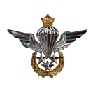 Imperial Iranian Army Airborne Master Jump Wings Badge