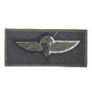 Israel Defense Force (IDF) Paratrooper Wings Subdued Patch