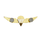 Israel Defense Forces (IDF) Gold Parachutist Badge