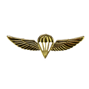 Israel Defense Forces (IDF) Gold Parachutist Badge