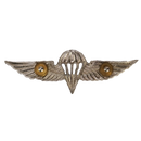 Israel Defense Forces (IDF) Parachutist Badge - Israeli Army Surplus - Flags, Badges & Insignia