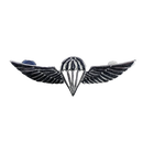 Israel Defense Forces (IDF) Parachutist Badge, Item 2