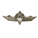 Israel Defense Forces (IDF) Senior Parachutist Badge, Item 2