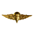 Jordanian Basic Jump Wings Badge