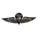 Malaysia Army Parachute Wings Badge