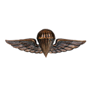 Malaysia Army Parachute Wings Badge