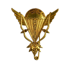 Malian Army Parachutist Badge - Army & Outdoors - Flags, Badges & Insignia