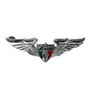 Mexican Army Basic Parachutist Badge