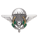 Niger Airborne (Parachutist) Qualification Badge