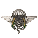 Niger Airborne (Parachutist) Qualification Badge, Item 2 - Army & Outdoors - Flags, Badges & Insignia