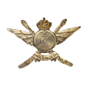 Omani Sultan's Special Forces Cap Badge