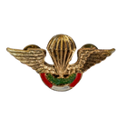Peruvian Army Basic Parachute Badge