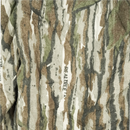 Real Tree Camo Pants - 36x34, Large - Army & Outdoors - Cargo Trousers