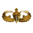 Republic of China (Taiwan) Army Airborne Basic Parachutist Badge - Army & Outdoors - Flags, Badges & Insignia