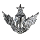 Republic of Korea Army Senior Airborne Parachutist Badge - Army & Outdoors - Flags, Badges & Insignia
