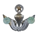 Republic of Korea (ROK) Army Master Parachutist Badge