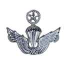 Republic of Korea (ROK) Army Master Parachutist Badge