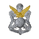 Republic of Korea (ROK) Army Special Warfare Command Beret Badge, Item 2 - Army & Outdoors - Flags, Badges & Insignia