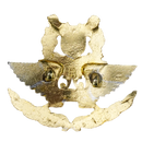Republic of Singapore Air Force (RSAF) Cap Badge