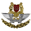 Republic of Singapore Air Force (RSAF) Cap Badge