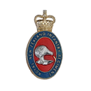 Royal New Zealand Infantry Regiment (RNZIR) Right Collar Pin - New Zealand Army Surplus - Flags, Badges & Insignia