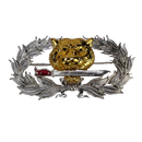 Royal Thai Army Ranger Badge