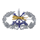 Royal Thai Border Police Special Forces Qualification Badge - Army & Outdoors - Flags, Badges & Insignia