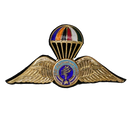 Royal Thai Paramilitary Force Badge