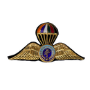 Royal Thai Paramilitary Force Badge, Item 2 - Army & Outdoors - Flags, Badges & Insignia
