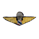 Royal Thai Police Basic Parachute Wings Badge, Item 2