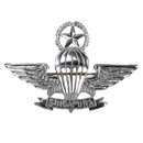 Singapore Armed Forces Master Parachutist Badge - Singapore Army Surplus - Flags, Badges & Insignia