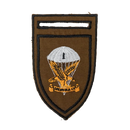 South African Defence Force 1 Parachute Battalion Shoulder Flassh Patch