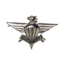South African Defence Force 3 Parachute Battalion Beret Badge
